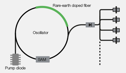 Femtofiber customized master oscillator