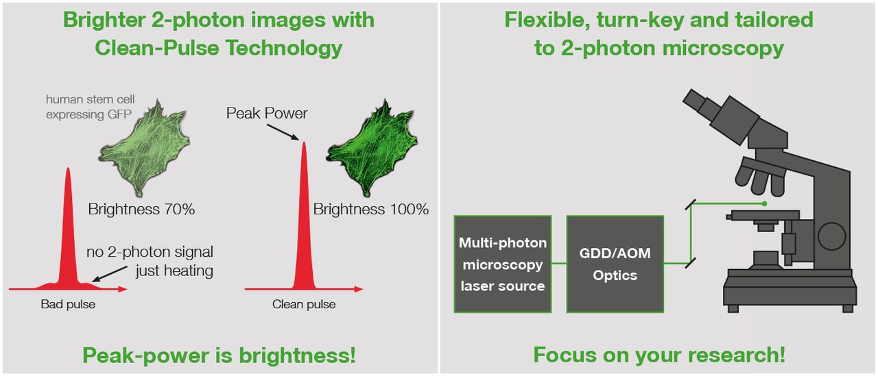 hævn Drivkraft radar Ultrafast Fiber Lasers for Multiphoton Microscopy | TOPTICA Photonics AG